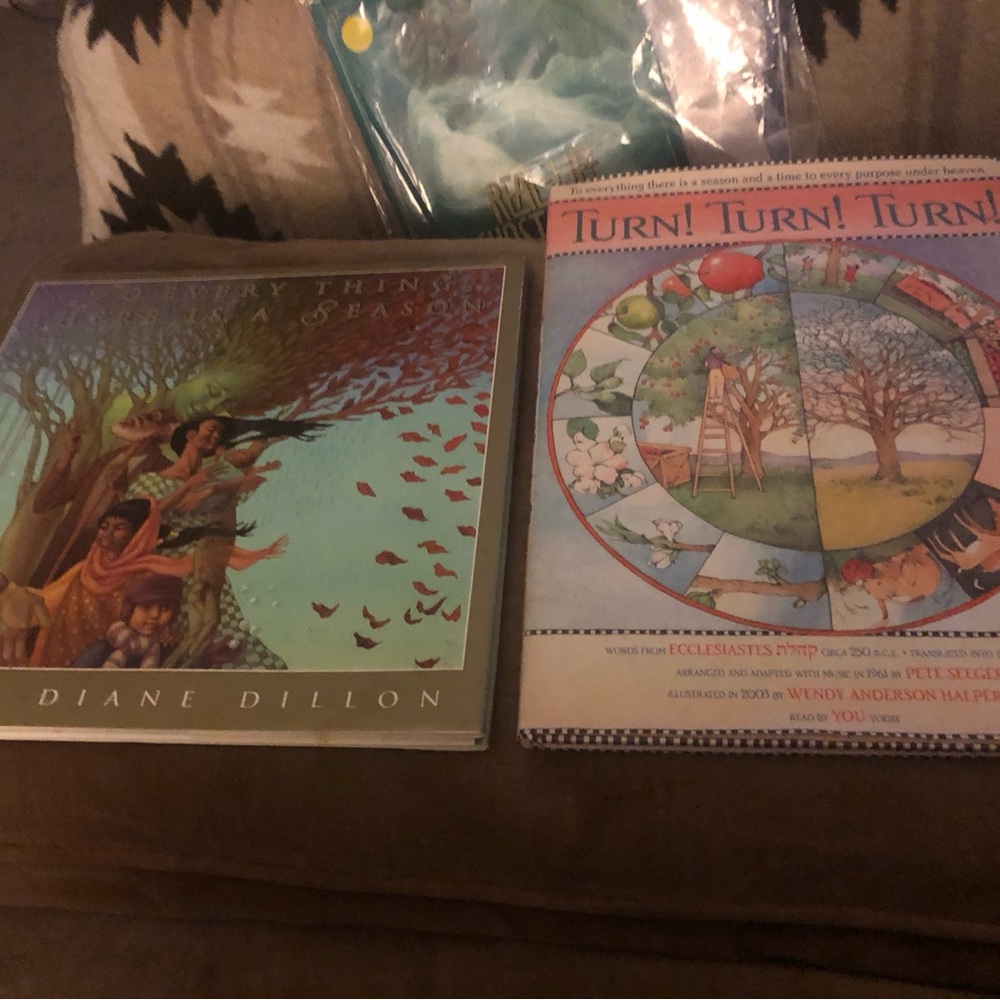 Children’s Book Bundle- $70 or $65 w/offer